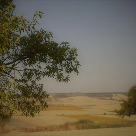 בית נופש La Casa Del Campillo