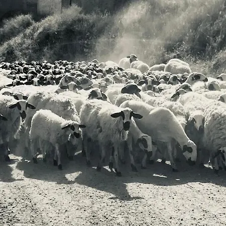 La Casa Del Campillo Baltanás