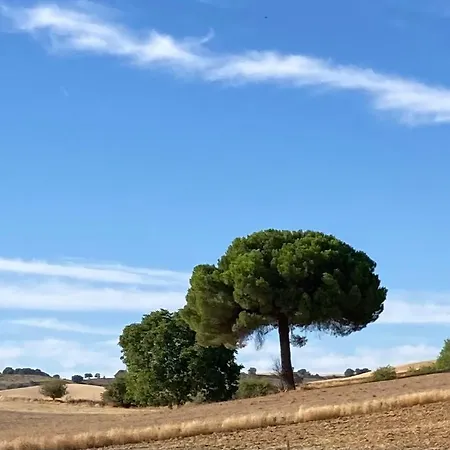 La Casa Del Campillo בית נופש *