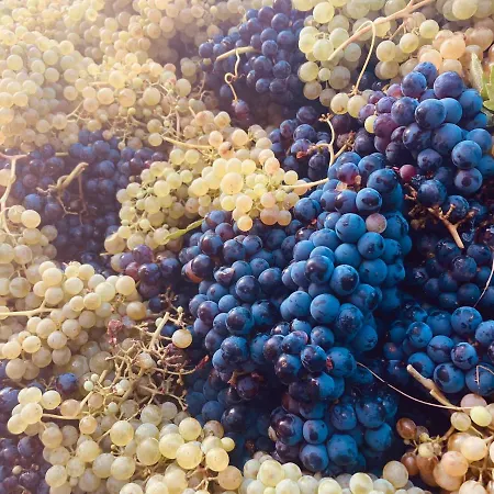 La Casa Del Campillo *