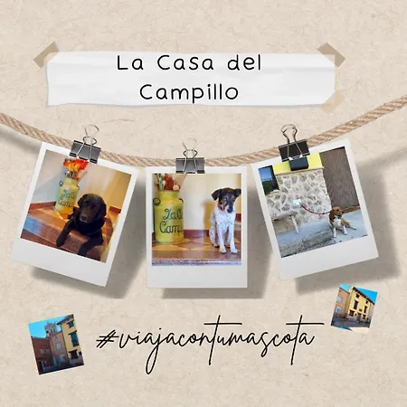 La Casa Del Campillo Hébergement de vacances