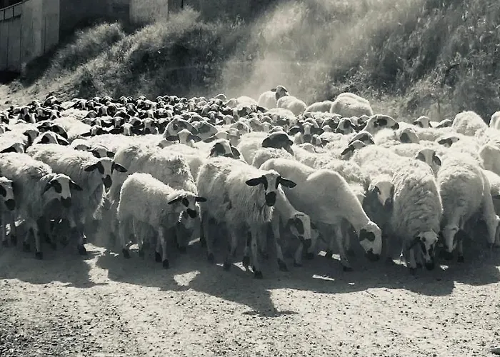 La Casa Del Campillo Baltanás