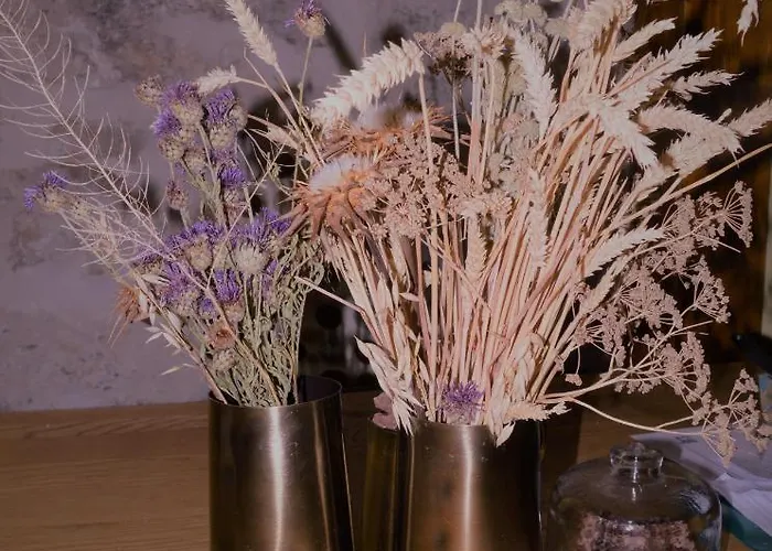 La Casa Del Campillo * Baltanás