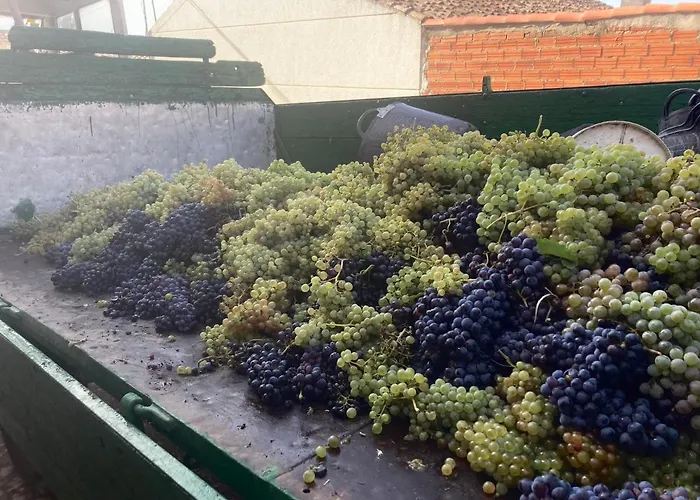 La Casa Del Campillo Hébergement de vacances Baltanás