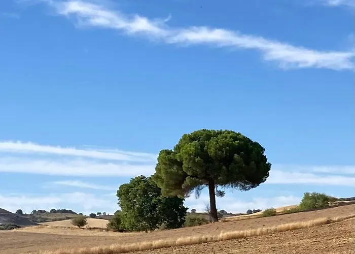 La Casa Del Campillo Hébergement de vacances *