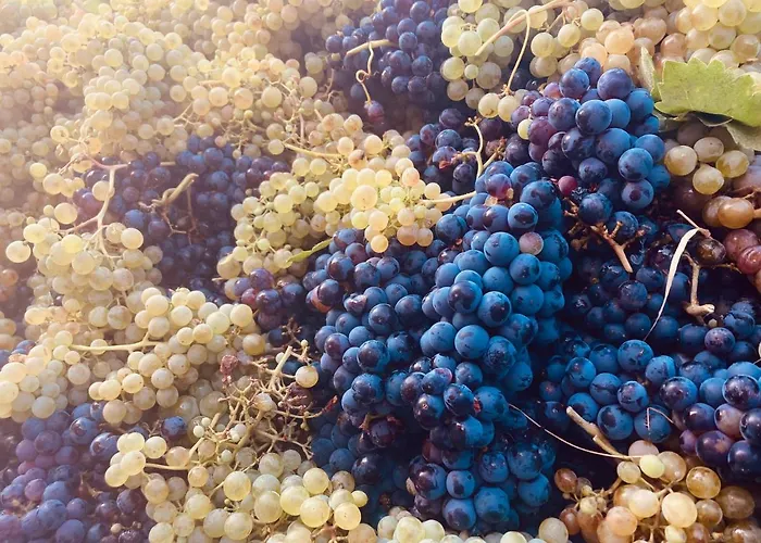 La Casa Del Campillo *