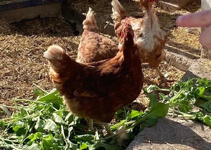 Hébergement de vacances La Casa Del Campillo